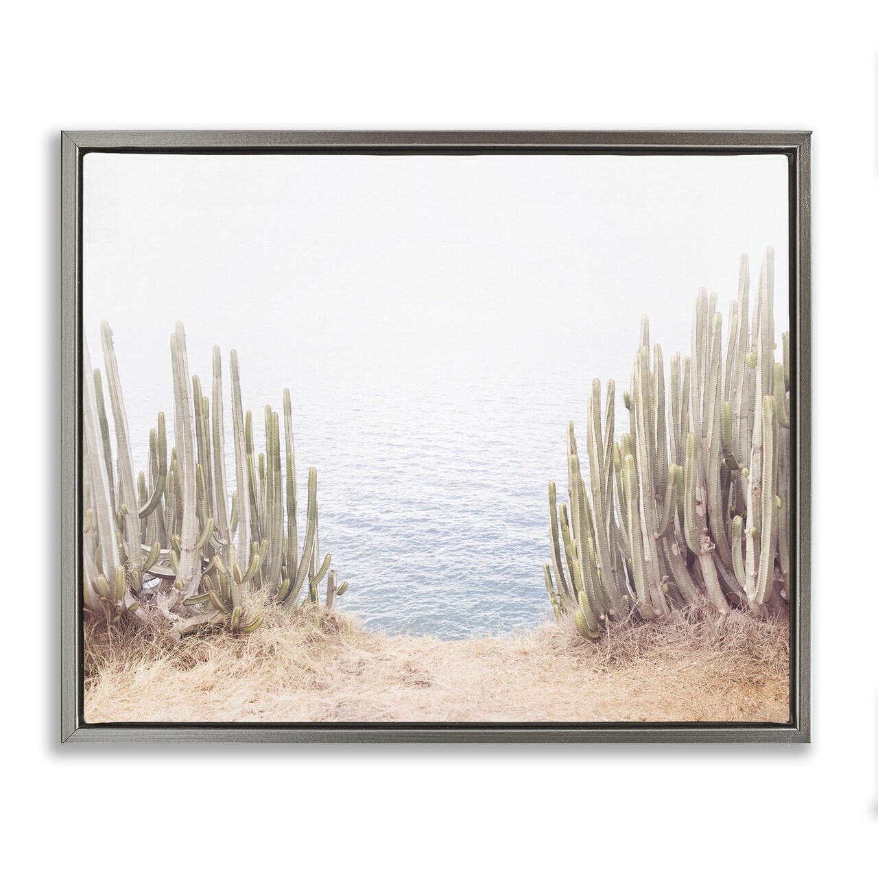 Stupell Industries Seaside Cacti Plants Framed Floater Canvas Wall Art Design by Sisi and Seb